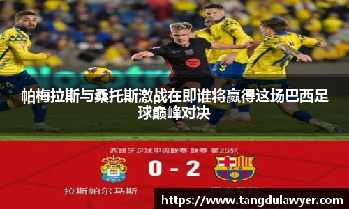 帕梅拉斯与桑托斯激战在即谁将赢得这场巴西足球巅峰对决